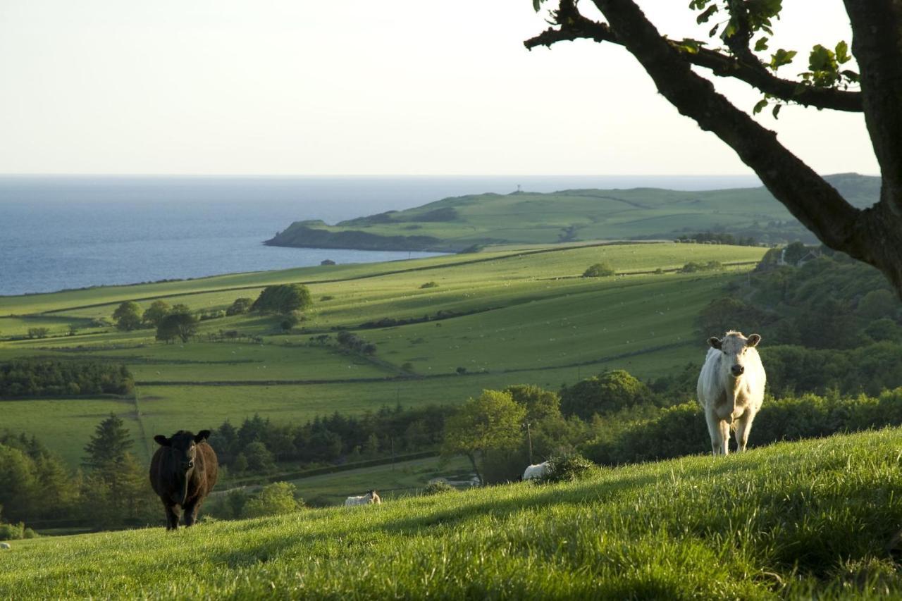 Orroland Holiday Cottages Dundrennan 外观 照片